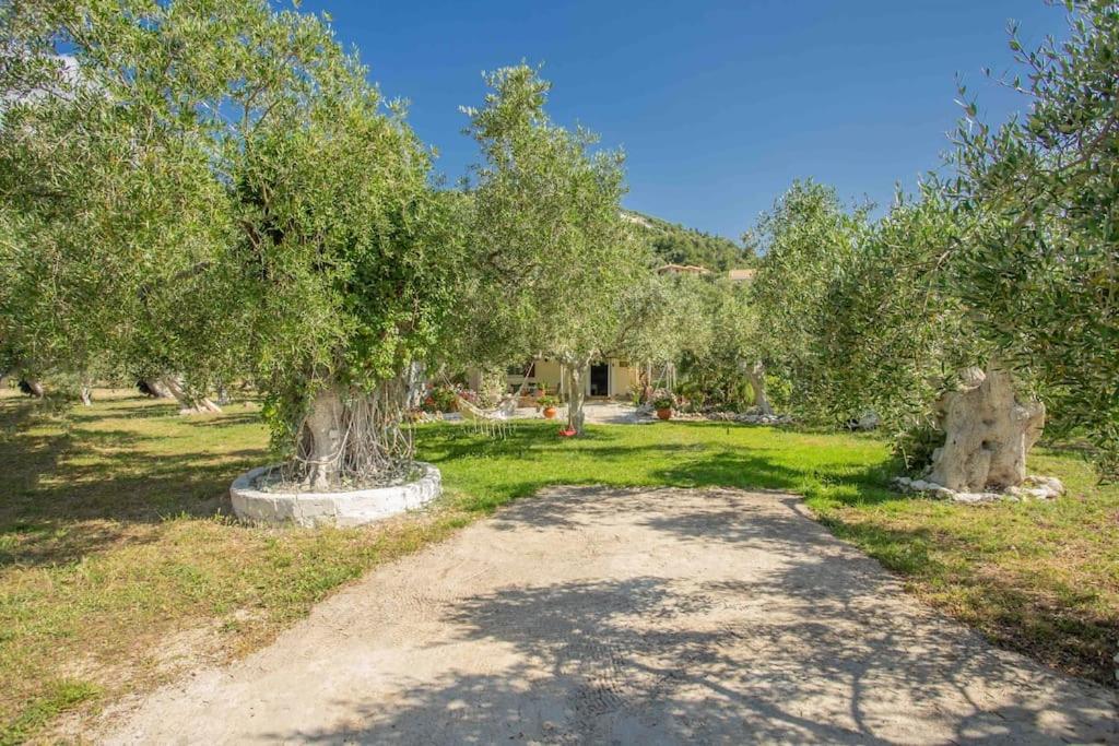 Anthia Private Studio A Breath Away From Beaches Áyios Nikítas Dış mekan fotoğraf